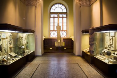 Museum exhibits of ancient relics in glass cases, big window in clipart