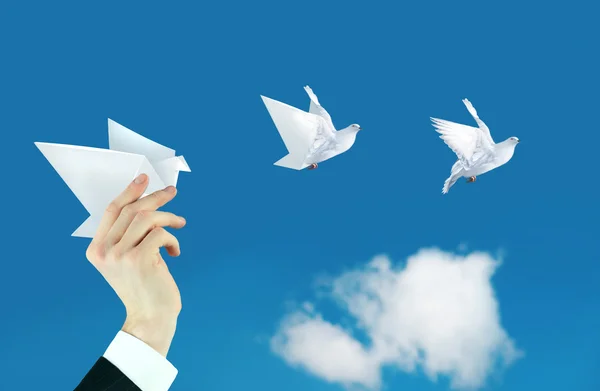 Businessman hand and paper dove collage — Stock Photo, Image