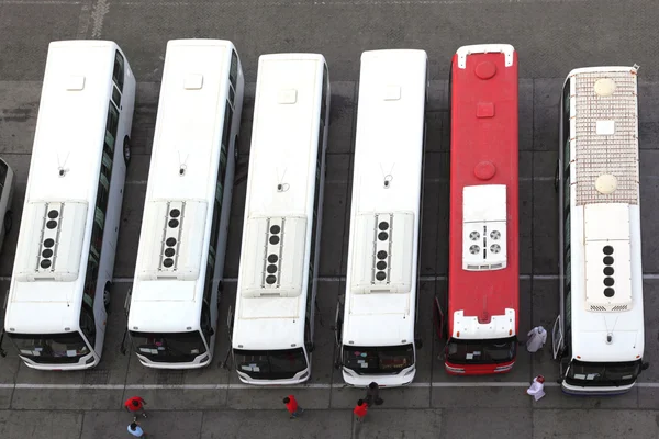 Регулярні автобуси на станції та водії в єдиному режимі зверху — стокове фото