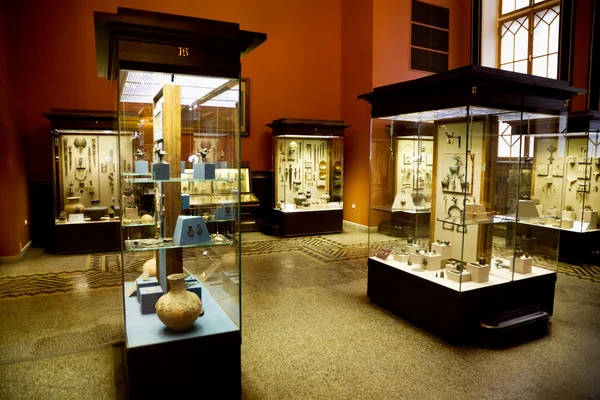 Museum exhibits of ancient relics in glass cases — Stock Photo, Image