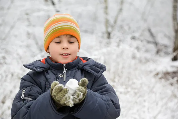 Menino mantém em mãos bola de neve em madeira no inverno — Fotografia de Stock