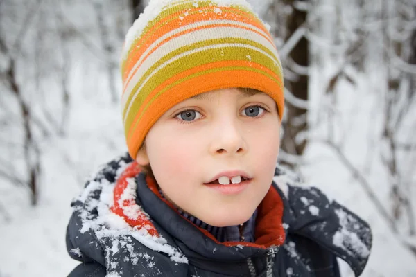 Menino em boné com neve nos ombros em madeira no inverno — Fotografia de Stock
