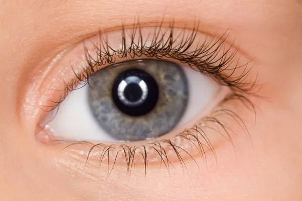 Left blue eye of child with long eyelashes close up — Stock Photo, Image