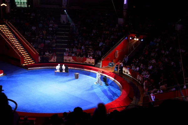 Moskva - 5. června - modré arena v Moskvě NIKULINŮV cirkus performanc — Stock fotografie