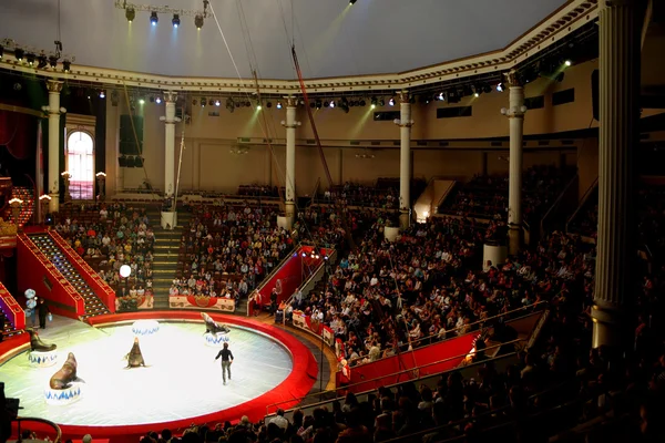 MOSCOW - JUNE 5 - blue arena in Moscow Nikulin circus performanc — Stock Photo, Image