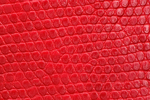 Texture of fabric close up — Stock Photo, Image