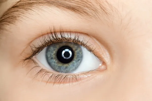 Gyermek hosszú szempillák jobb kék szeme közelről — Stock Fotó