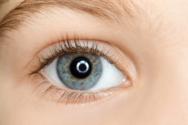 Right blue eye of child with long eyelashes close up