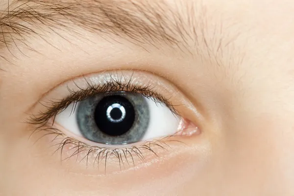 Occhio blu destro del bambino con lunghe ciglia da vicino — Foto Stock