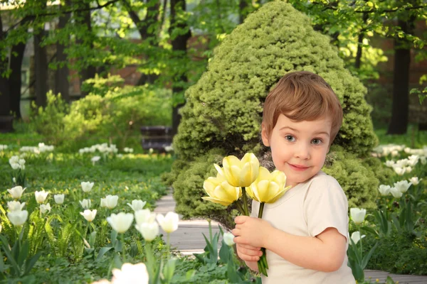 Мальчик с желтыми тюльпанами в парке, коллаж — стоковое фото
