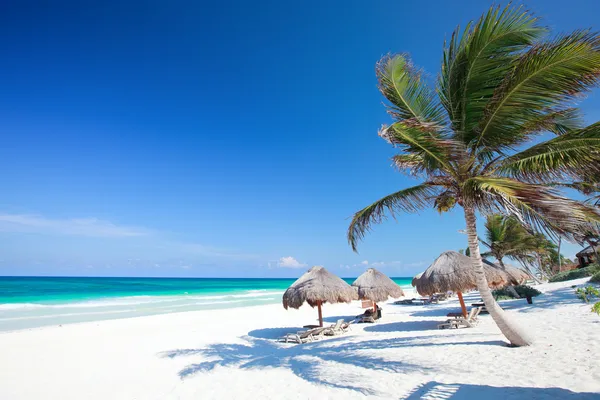 Gyönyörű karibi strand — Stock Fotó