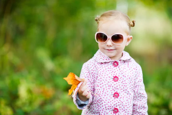 Aranyos lány az őszi parkban — Stock Fotó