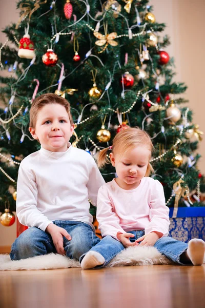 Duas crianças perto da árvore de Natal — Fotografia de Stock