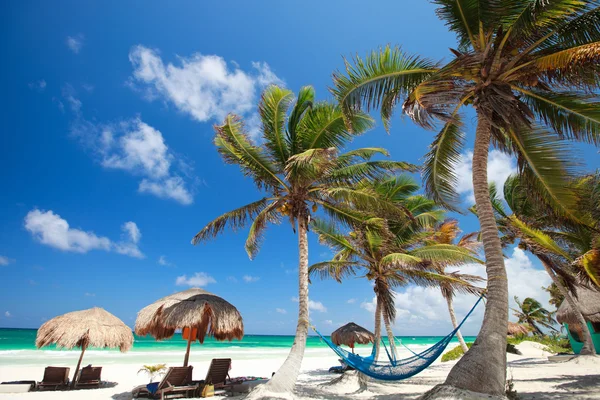 Krásná karibská pláž — Stock fotografie
