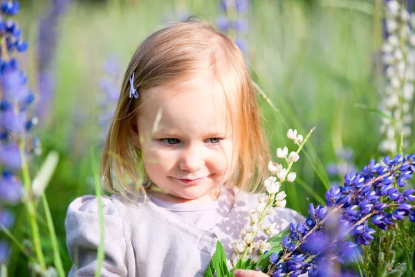 Little girl in meadow — Stock Photo, Image