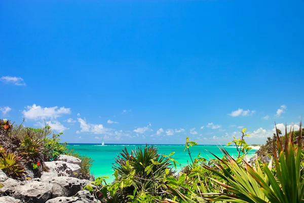 カリブ海 — ストック写真