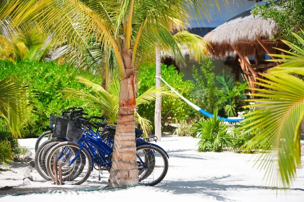Fahrräder in den Tropen — Stockfoto