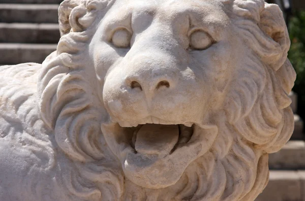 Середньовічні Лев статуя — стокове фото