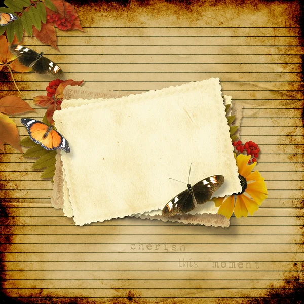 ビンテージの紙の背景に、カード、蝶 — ストック写真