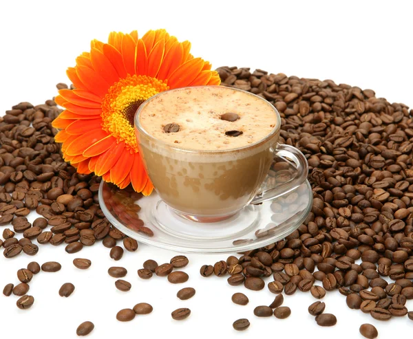 Kávé- és virág — Stock Fotó