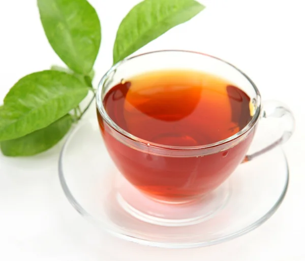 Tee und grünes Blatt — Stockfoto