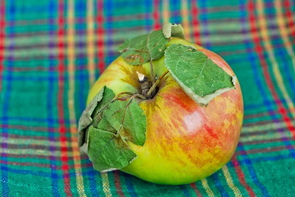 Apple はキッチン タオル — ストック写真