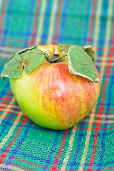 Apple はキッチン タオル — ストック写真