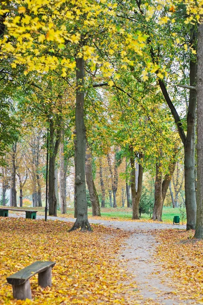 Sonbahar Parkı 'ndaki eski ahşap bankta — Stok fotoğraf