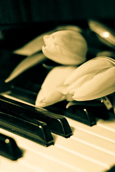 Piano keyboard och tulpaner — Stockfoto