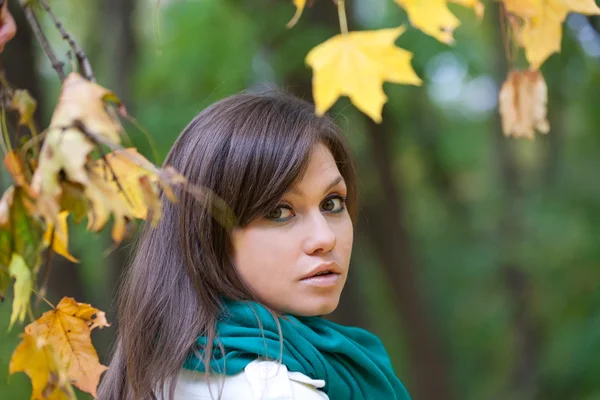 Az őszi erdő gyönyörű nő portré — Stock Fotó