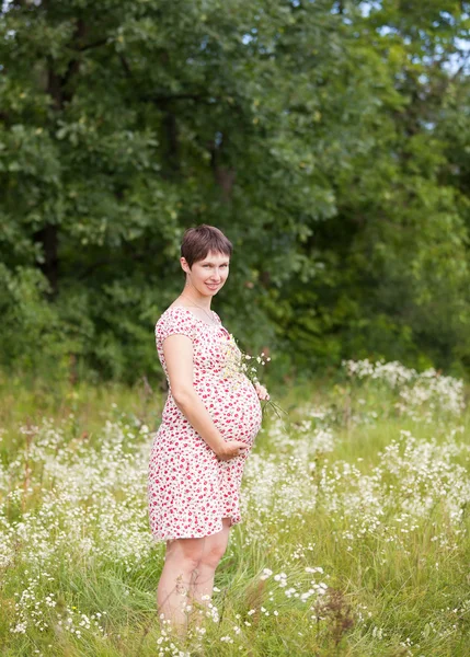 Pregnant woman with chamomile — Stock Photo, Image