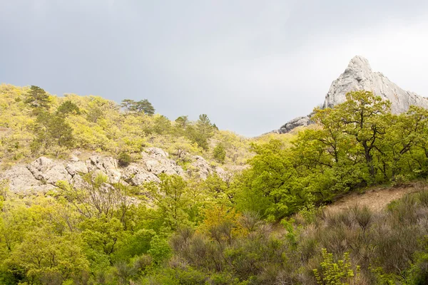 Kırım dağ — Stok fotoğraf