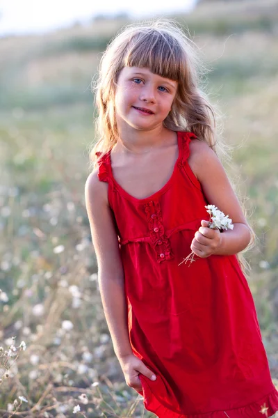 Летняя девочка — стоковое фото