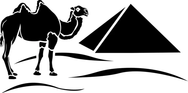 Camelo simplificado no deserto — Vetor de Stock