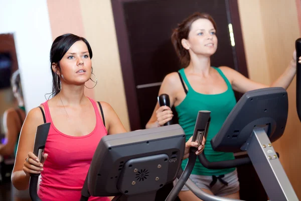 Young women in gym on stepper machine — Stock Photo, Image