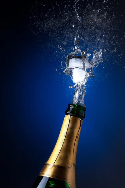 Champagne splash — Stockfoto
