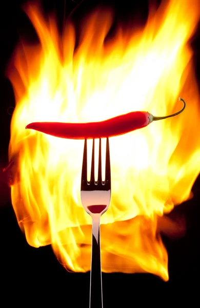 Chili i brand — Stockfoto