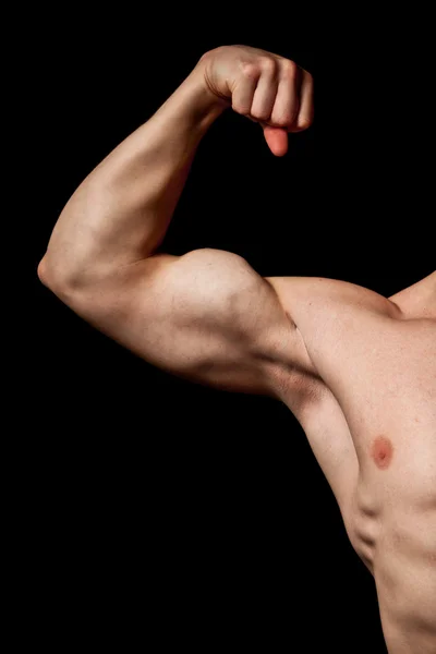 Biceps. — Fotografia de Stock