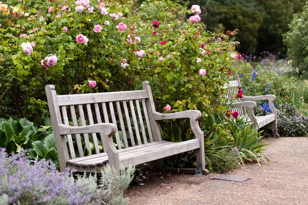 Jardín de rosas en el parque con banco de madera Imagen De Stock