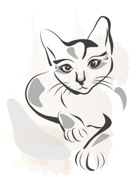 Kara kedi Grunge anahattı gösteren resim