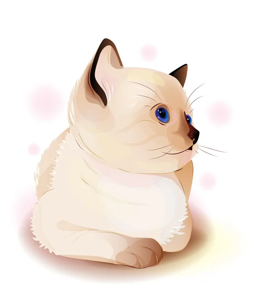 Portrait of blue-eyed little Siamese kitten. Watercolor style — Stock Vector