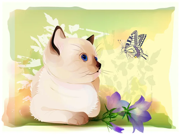 Carte de vœux d'anniversaire rétro avec chaton thaï regardant à la butte — Image vectorielle