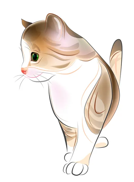 Retrato desenhado à mão de gengibre tabby gatinho. Estilo aquarela —  Vetores de Stock