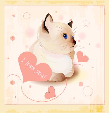 Valentines day greeting card with little siamese kitten and hear clipart