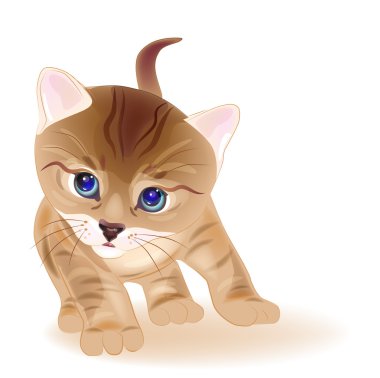 Hand drawn portrait of ginger tabby kitten. Watercolor style clipart