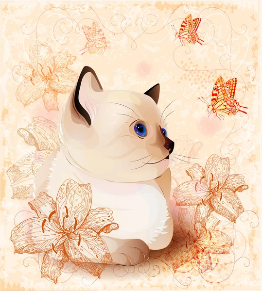Carte d'anniversaire vintage avec petit chaton siamois et fleurs — Image vectorielle