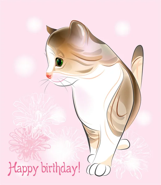 Happy birthday greeting card with little kitten on the pink b — Stock ...