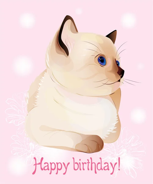 Happy birthday greeting card with blue-eyed little Siamese k — Stock Vector
