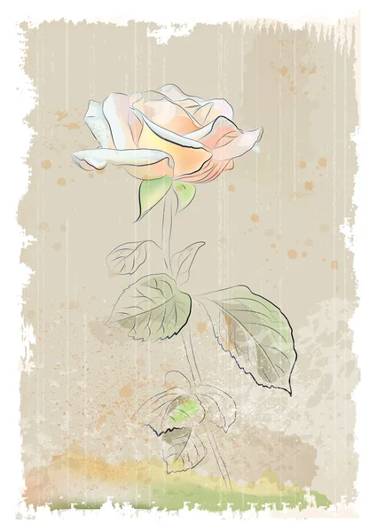 粉红色的玫瑰的复古插图 — 图库矢量图片