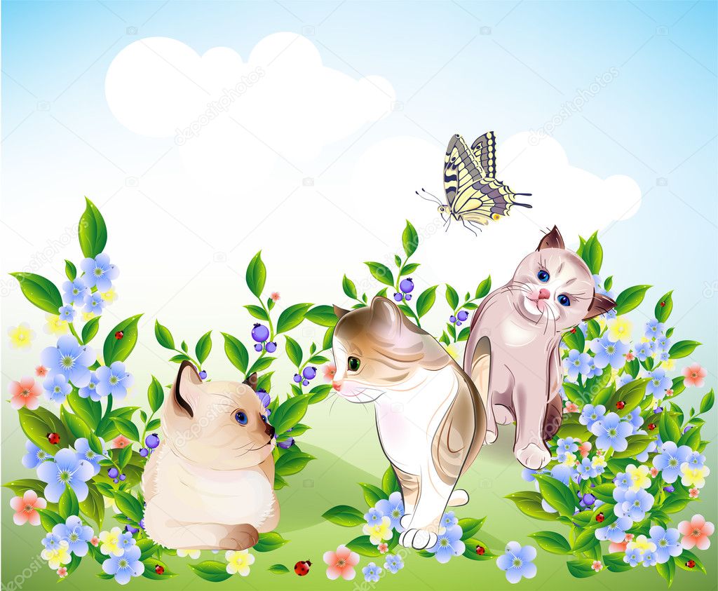 Happy little kittens and butterfly play on the meadow